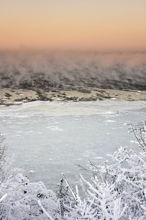 Steaming and icy sea and snowy forest  at cold winter morningの写真素材