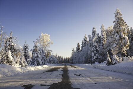 Snowy and icy road with a little asphalt visible between forest at bright winter dayの写真素材