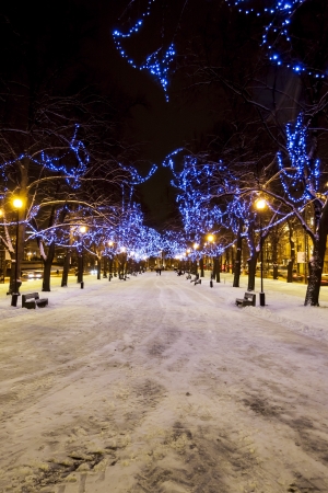 Snowy avenue with trees decorated with blue Christmas lights in Tallinn, Estoniaの写真素材