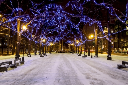 Snowy avenue with trees decorated with blue Christmas lights in Tallinn, Estoniaの写真素材