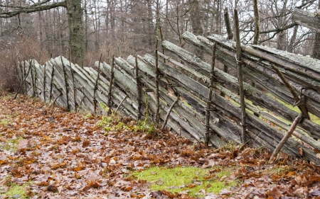 Ancient wooden fence and fallen brown leaves at autumnの写真素材