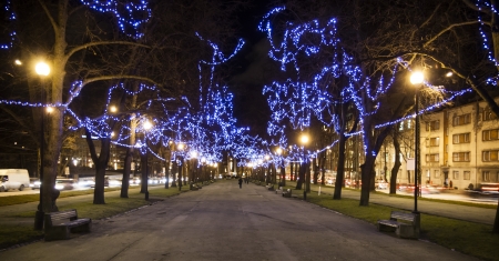 Avenue decorated with blue Christmas lights on trees  between two roads in Tallinn, Estoniaの写真素材