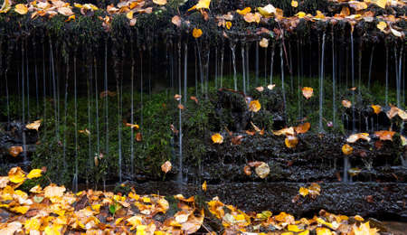 Falling water between yellow autumn leavesの写真素材
