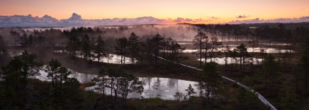 Misty marsh landscape at sunrise in the morningの写真素材