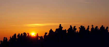 Snowy tree silhouette at golden sunsetの写真素材
