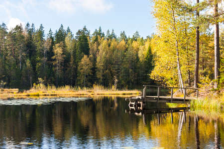 Small swimming bridge in a lake surrounded by colorful autumn forestの写真素材