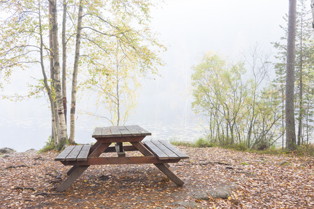 Camping bench and table in misty autumn forest, ground full of fallen tree leavesの写真素材