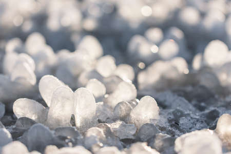 Little round icicles formed around grass leaves on the groundの写真素材