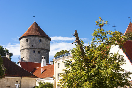 Kiek in de Kok cannon tower in the old town of Tallinn, Estoniaのeditorial素材