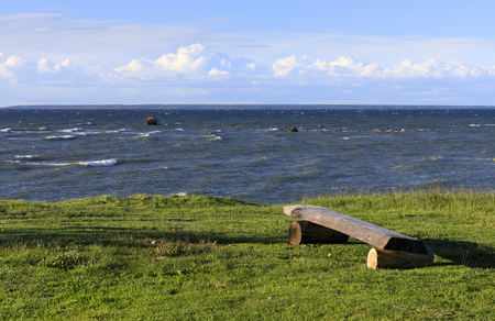 Wood made bench on a grass field near seaの写真素材