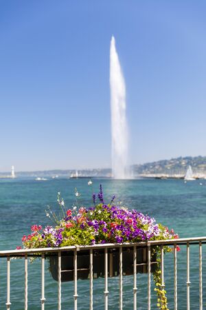 Colorful flower basket on a fence, tall fountain called Jet d'eau in the background in Geneva, Switzerlandの写真素材