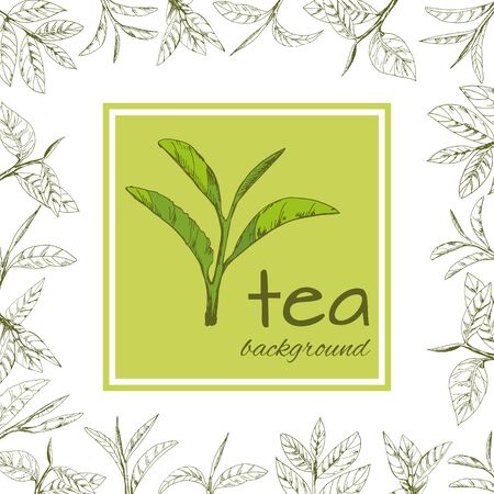 vector background with tea logo, hand-drawn leaves and branches of teaのイラスト素材