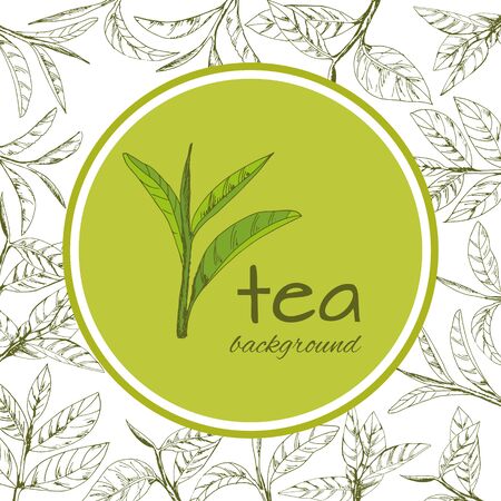 vector background with tea logo, hand-drawn leaves and branches of teaのイラスト素材