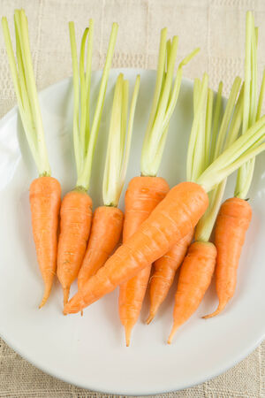 Fresh carrots on white plateの写真素材