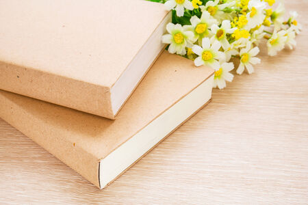 Books and daisy flowerの写真素材