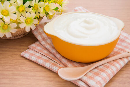 Yogurt in bowlの写真素材