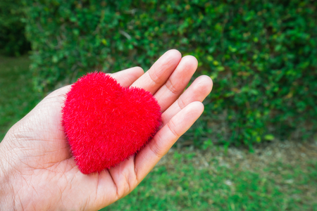 Red heart shape on femaleの写真素材
