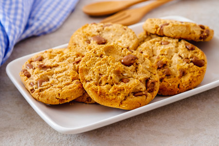 Chocolate chip cookies on white plateの写真素材