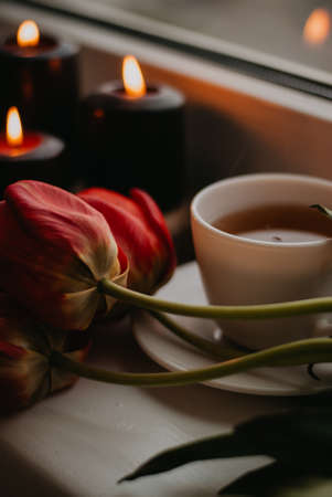 A cup of tea, a bouquet of red tulips and candles on the windowsillの写真素材