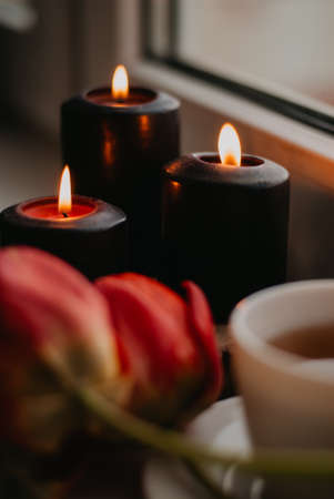A bouquet of red tulips, a cup of tea and candles on the windowsillの写真素材