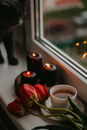 A bouquet of red tulips, a cup of tea and candles on the windowsill.の写真素材