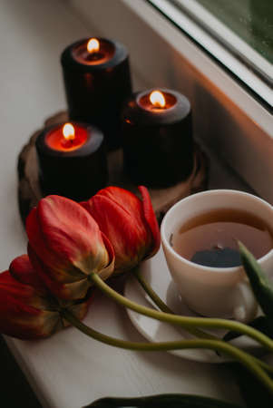 A bouquet of red tulips and a cup of tea on the windowsill.の写真素材