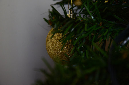 A golden ball shines amidst the green branches of the Christmas Tree, announcing the arrival of the Baby God and the beginning of a new year.の写真素材