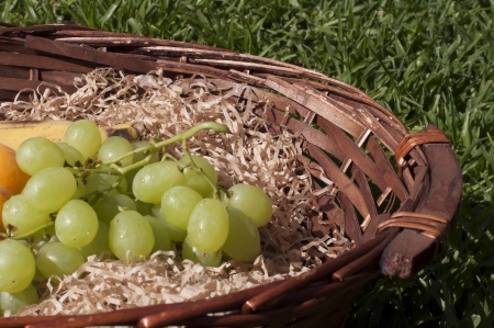 Fruit basket ready for picnic on the grassの写真素材