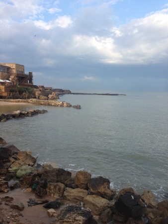 Coast in Caesarea の素材