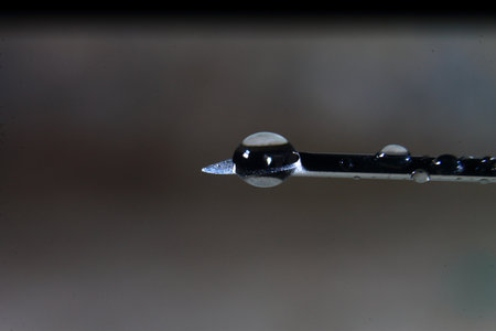 Drop of water on the tip of a pen, close-upの写真素材