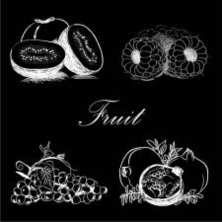 fruitsのイラスト素材
