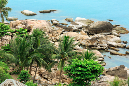 coconut palms on the background of large white stones in the sea on Koh Samui in Thailandの写真素材