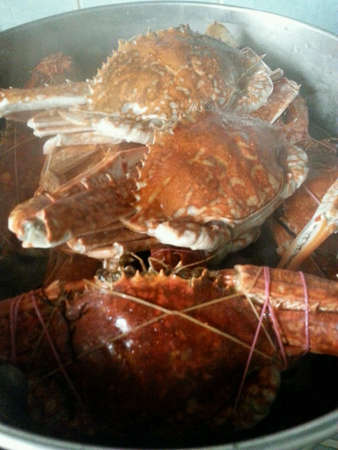 Crabs were steamedの素材