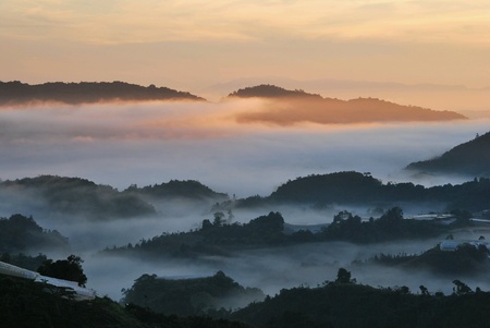 Sunrise in Cameron highland Malasiaの素材