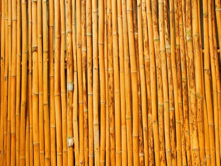 Thai fence from bamboo wall backgroundの写真素材