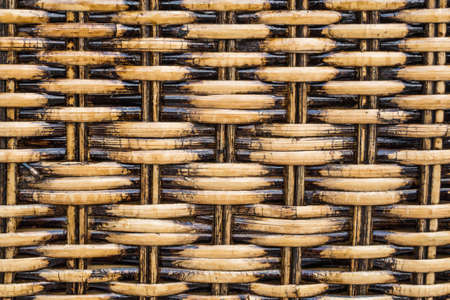 Bamboo background