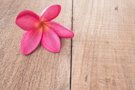 flower on old table woodenの写真素材