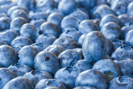 fresh blueberries on wooden tableの写真素材