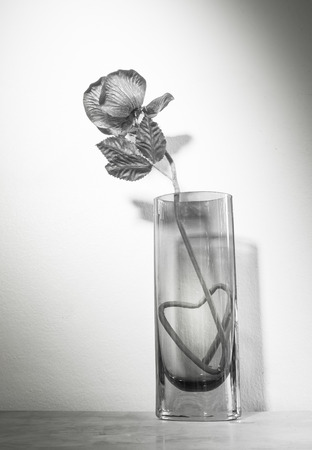 Still life with dry flower on black and whiteの写真素材