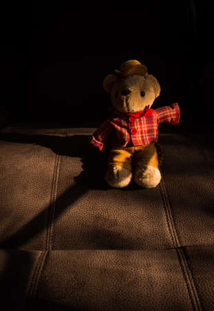 still life of cowboy bear on vintage leatherの写真素材