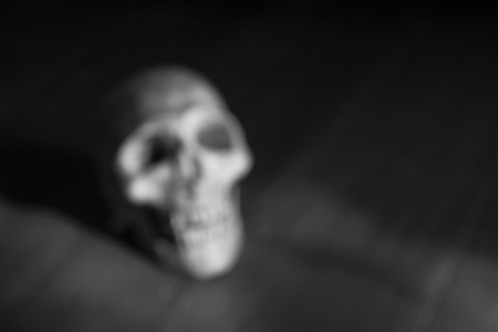 still life with skull on abstract background blurの写真素材