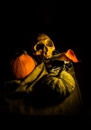 still life of skull,pumpkins  and flower on fabricの写真素材