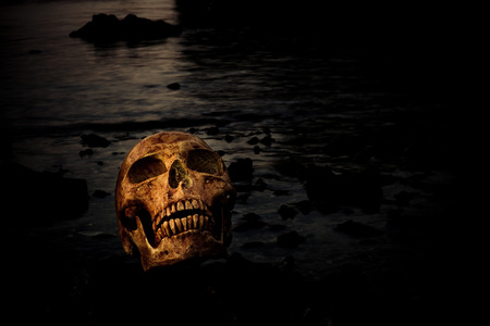 Still life with skull in natureの写真素材