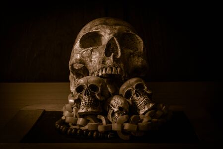 Still life with group of human skull on vintage styleの写真素材