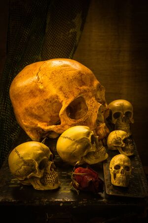 Still life with group of skull on bullet box