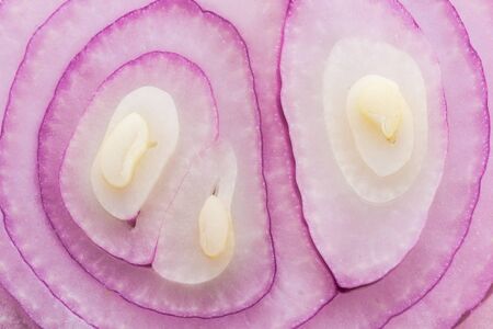 Pattern and texture from fresh organic onionの写真素材