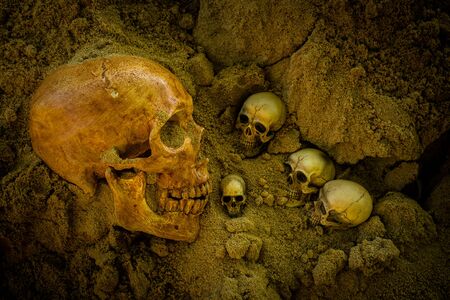 Still life group of human skull on sand background