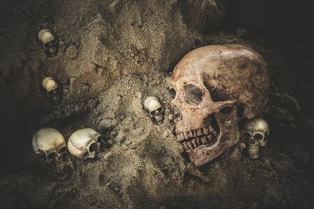 Still life group of human skull on sand backgroundの写真素材