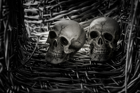 Still life with skull and barb wire
