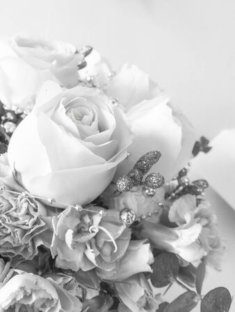 Beautiful rose on soft background,Soft styleの写真素材